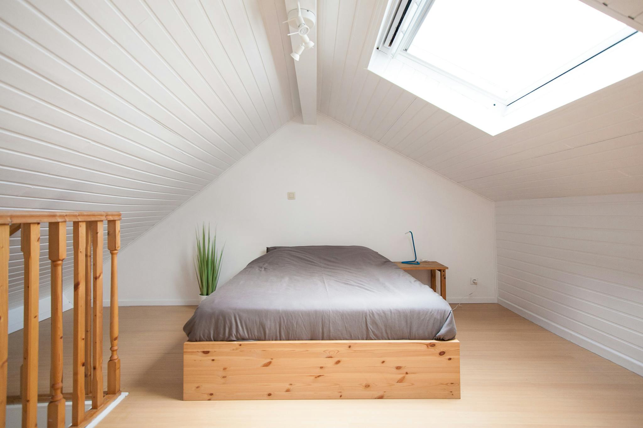 Appartement à louer à Bruxelles 1000 580.00€ 1 chambres 300.00m² - annonce 515169