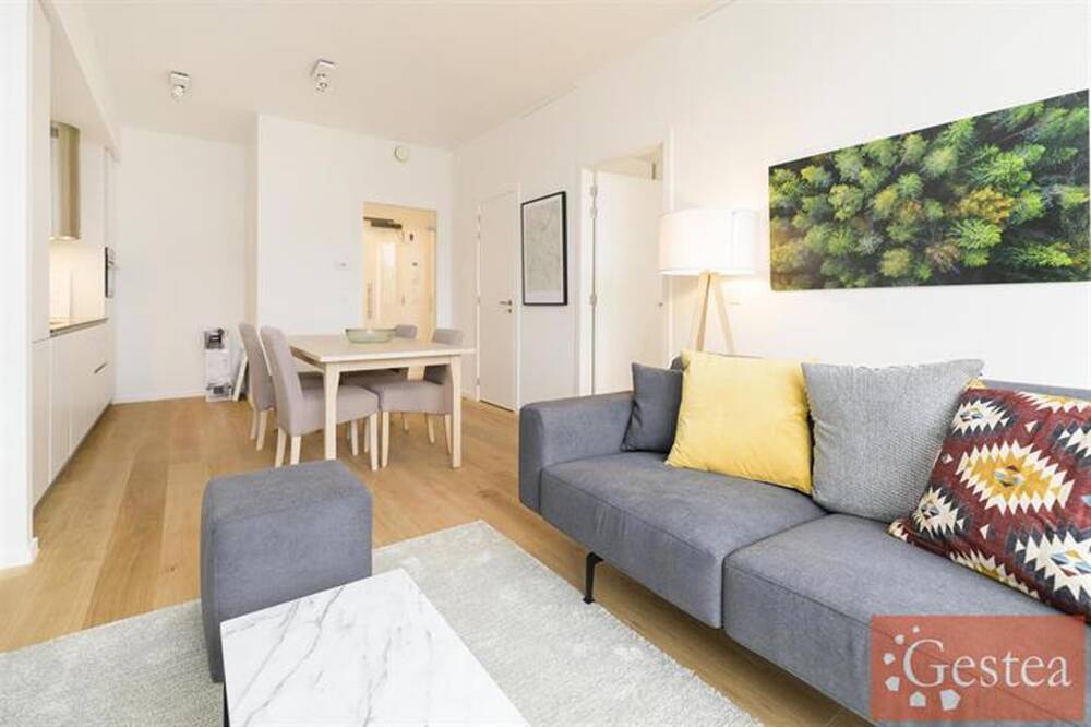 Appartement à louer à Bruxelles 1000 0.00€ 1 chambres 65.00m² - annonce 1388118