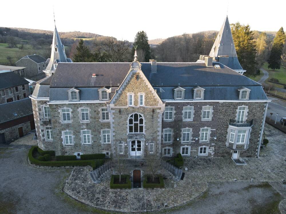 Kasteel te koop in Rendeux 6987 2500000.00€ 17 slaapkamers m² - Zoekertje 163992