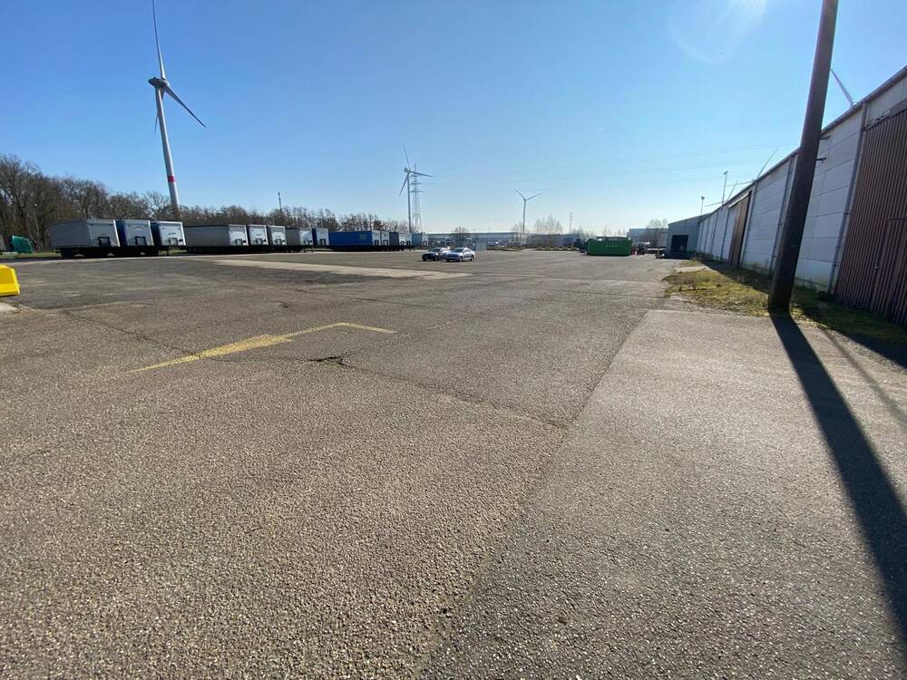 Terrain à louer à Tessenderlo 3980 6250.00€  chambres m² - annonce 396165