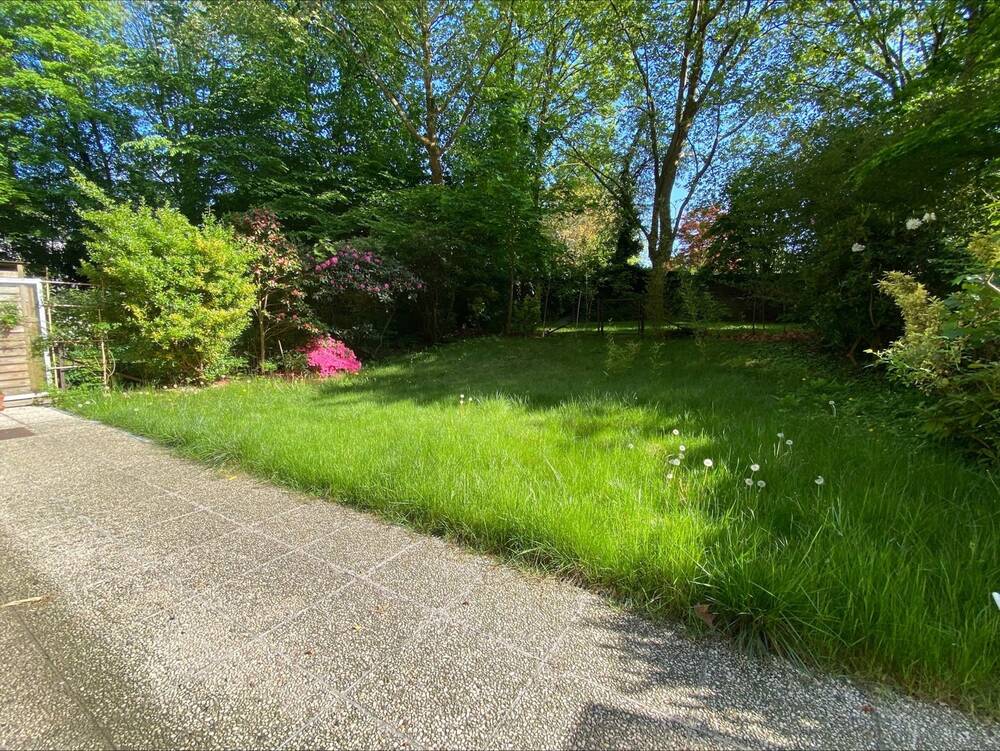 Duplex à vendre à Watermael-Boitsfort 1170 475000.00€ 3 chambres 150.00m² - annonce 434806