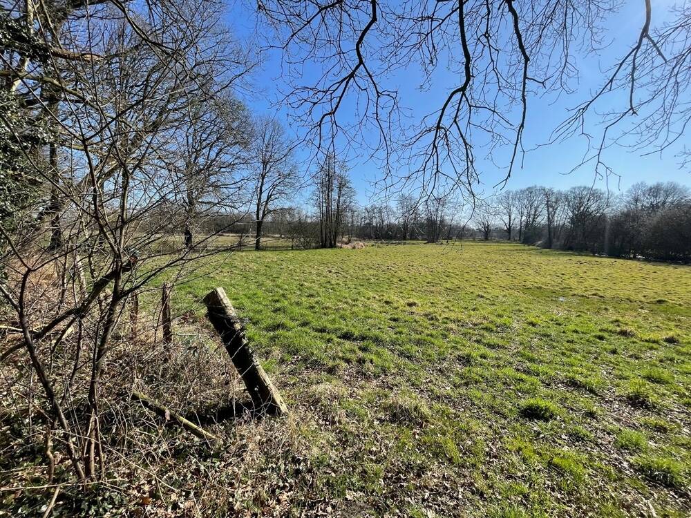 Terrain non bâtissable à vendre à Herentals 2200 58350.00€ 0 chambres m² - annonce 449381