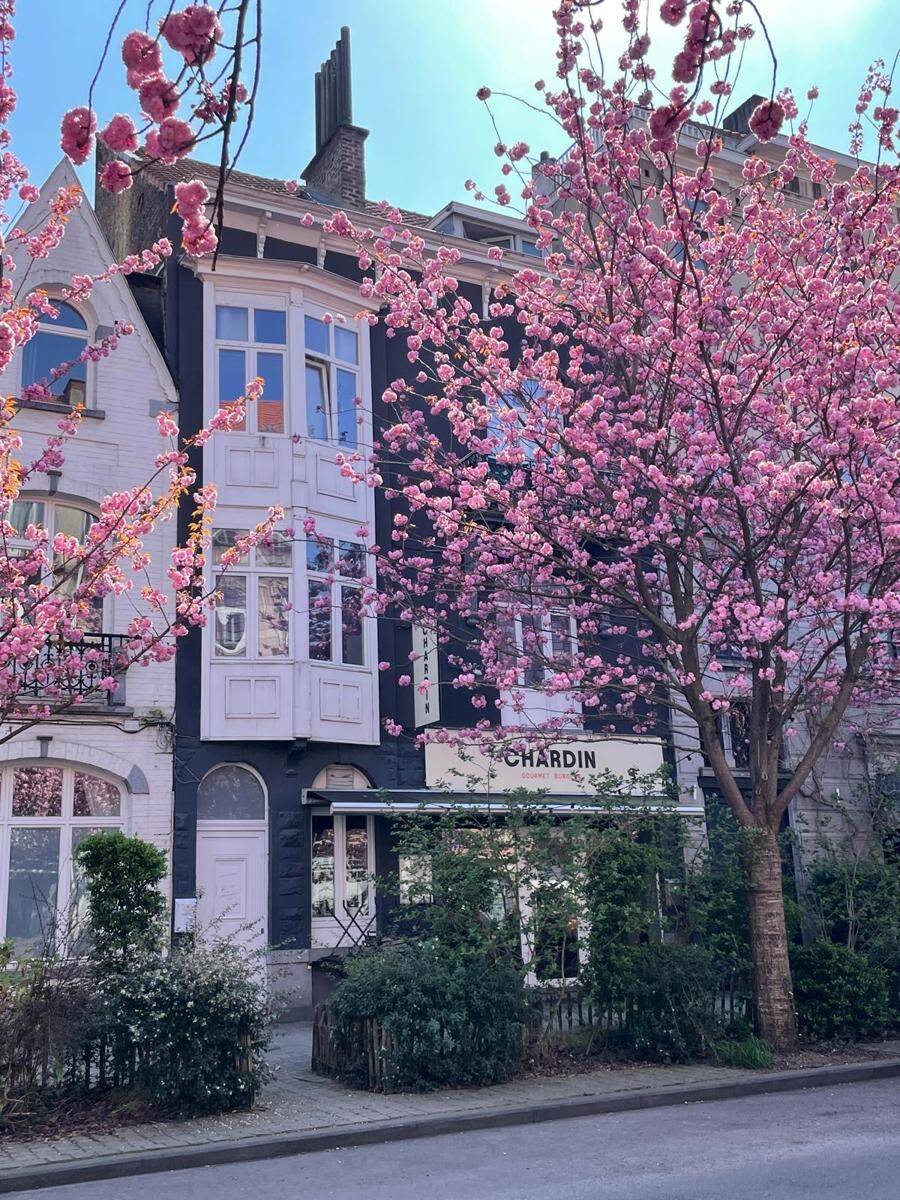 Appartement te in Schaarbeek 1030 199000.00€ 1 slaapkamers 40.00m² - Zoekertje 451610