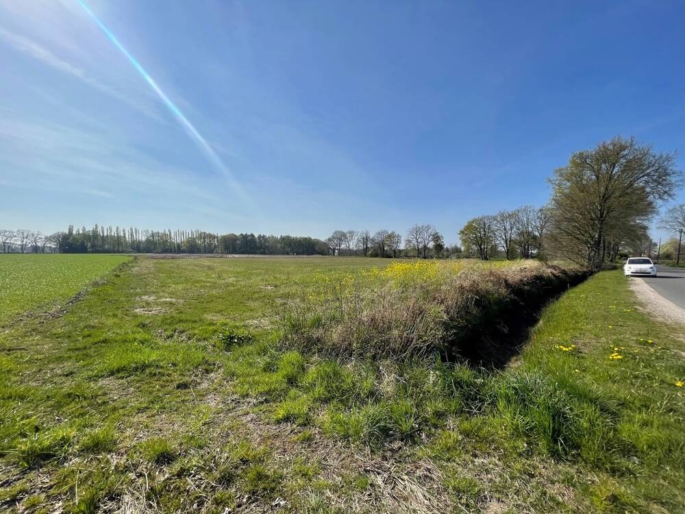 Terrain non bâtissable à vendre à Olen 2250 59000.00€ 0 chambres m² - annonce 451130