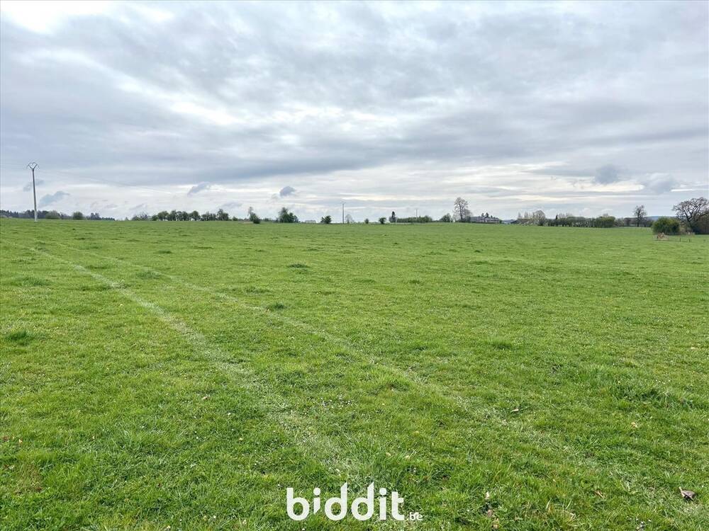 Terrain non bâtissable à vendre à Vielsalm 6690 250000.00€ chambres m² - annonce 453188