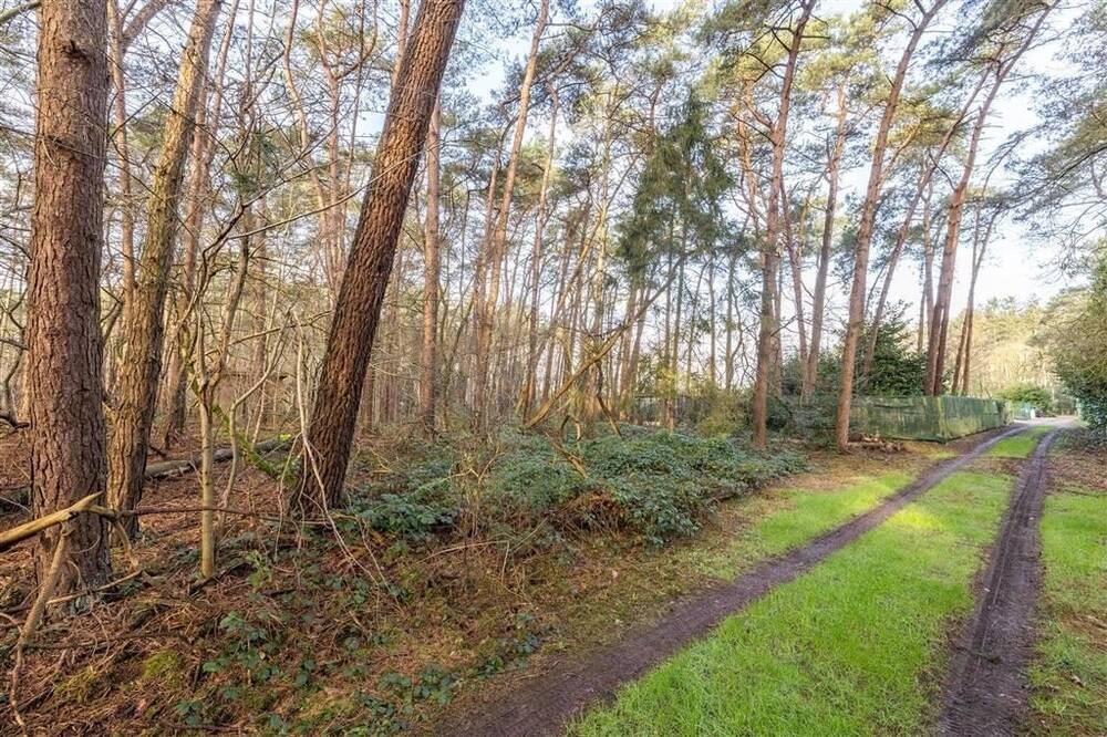 Terrain non bâtissable à vendre à Vorselaar 2290 99000.00€ chambres m² - annonce 455390