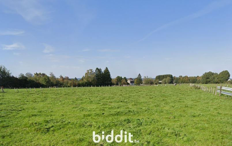 Terrain non bâtissable à vendre à Limerlé 6670 20000.00€ chambres m² - annonce 456397