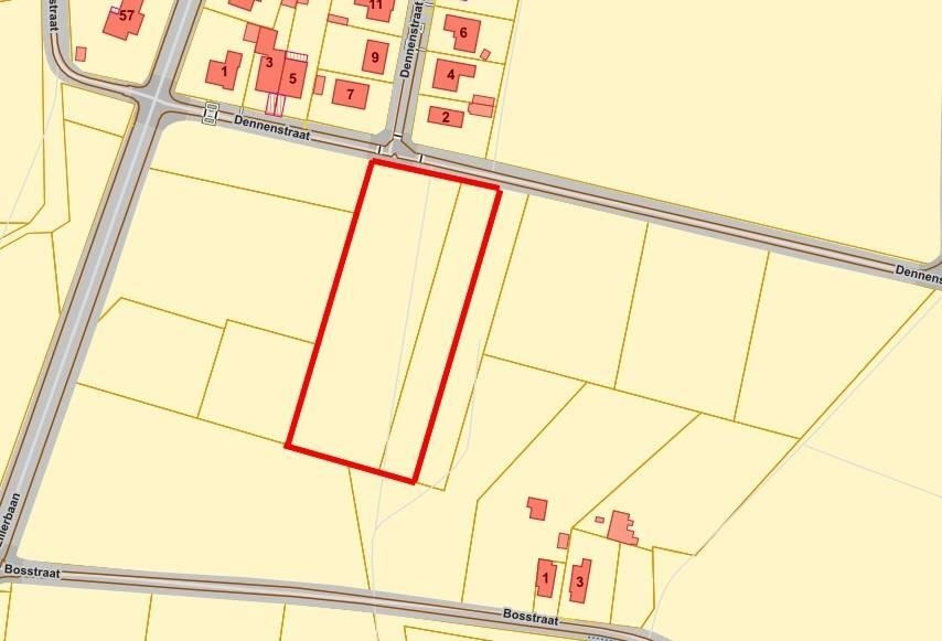 Terrain non bâtissable à vendre à Peer 3990 40000.00€ chambres m² - annonce 459846