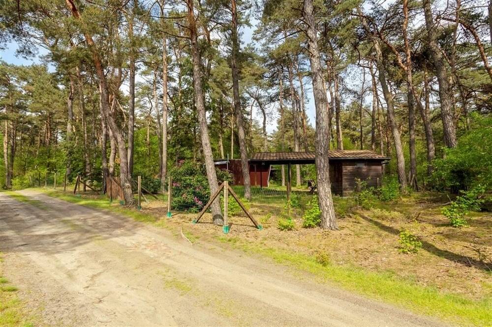 Terrain non bâtissable à vendre à Balen 2490 50000.00€ chambres m² - annonce 459920