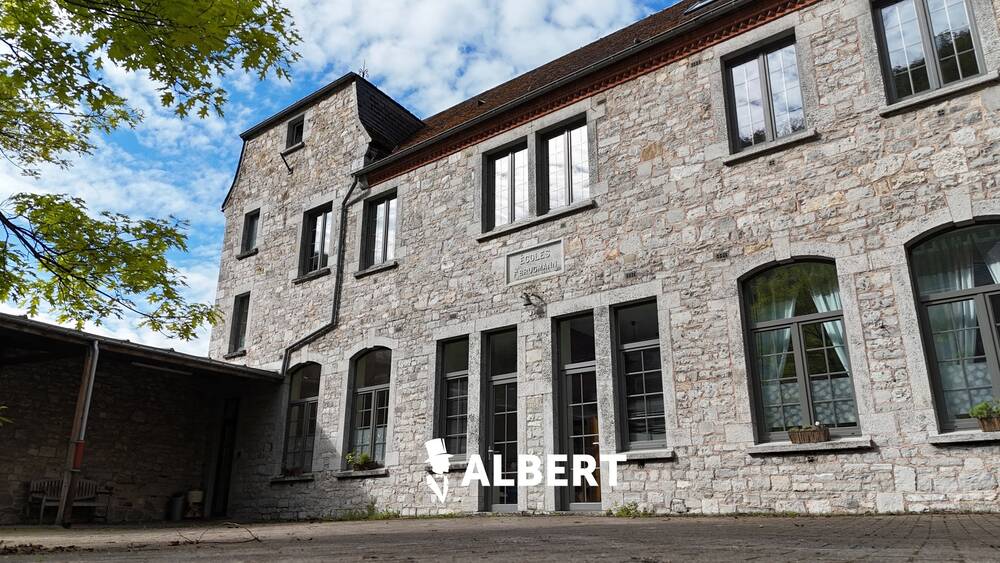 Immeuble mixte à vendre à Dinant 5500 850000.00€ 8 chambres 752.00m² - annonce 461148