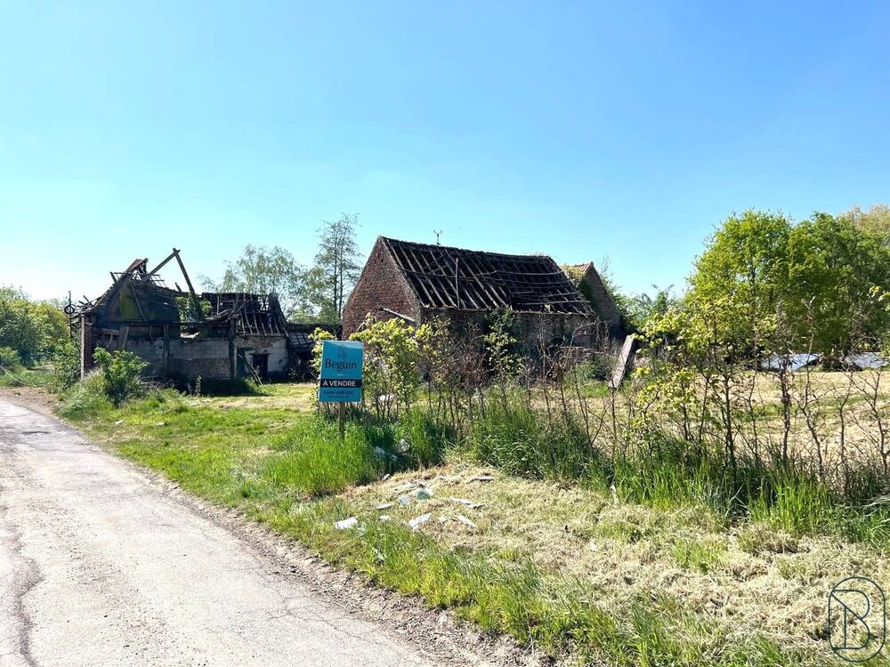 Bungalow à vendre à Flobecq 7880 298000.00€ 3 chambres 220.00m² - annonce 461251