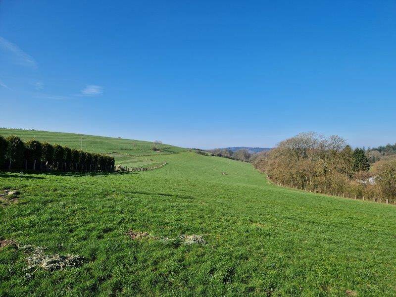 Terrain à vendre à Auby-sur-Semois 6880 245000.00€ 0 chambres m² - annonce 462085