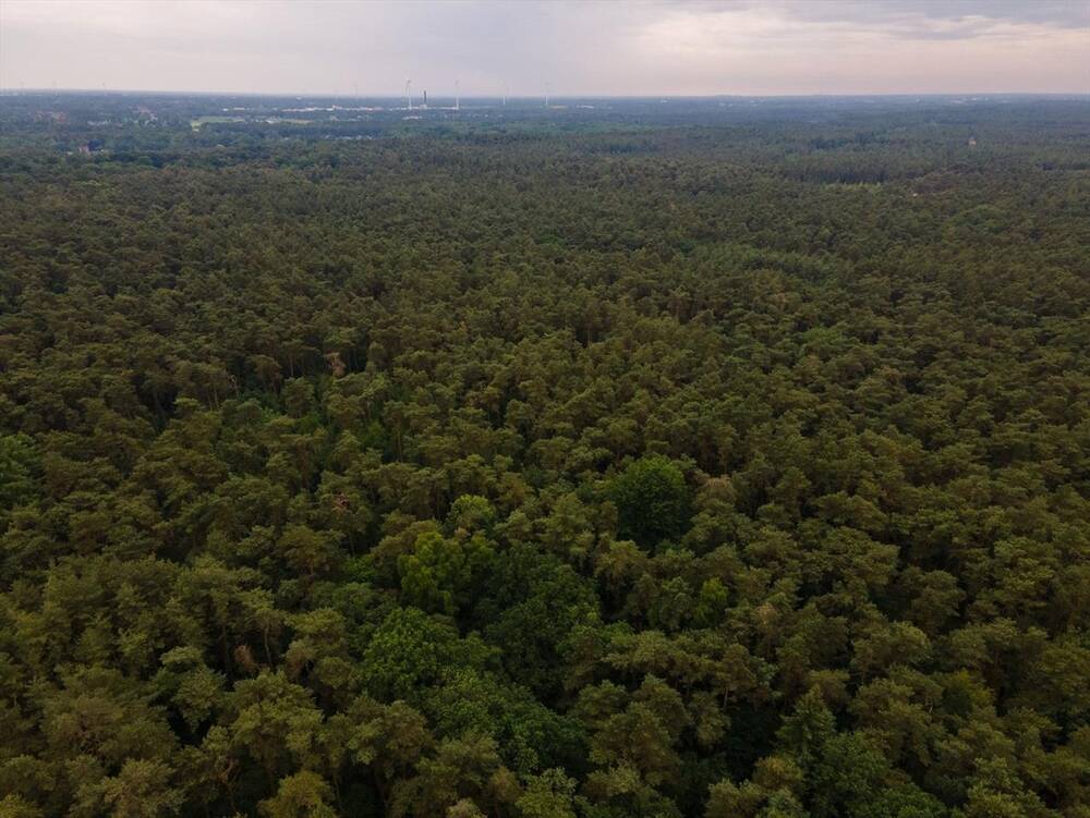 Terrain à vendre à Kasterlee 2460 10000.00€ chambres m² - annonce 462152