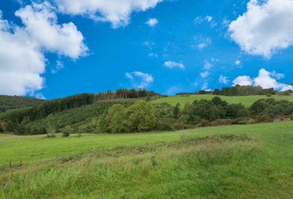 Terrain à vendre à Erezée 6997 65000.00€ 0 chambres m² - annonce 462046