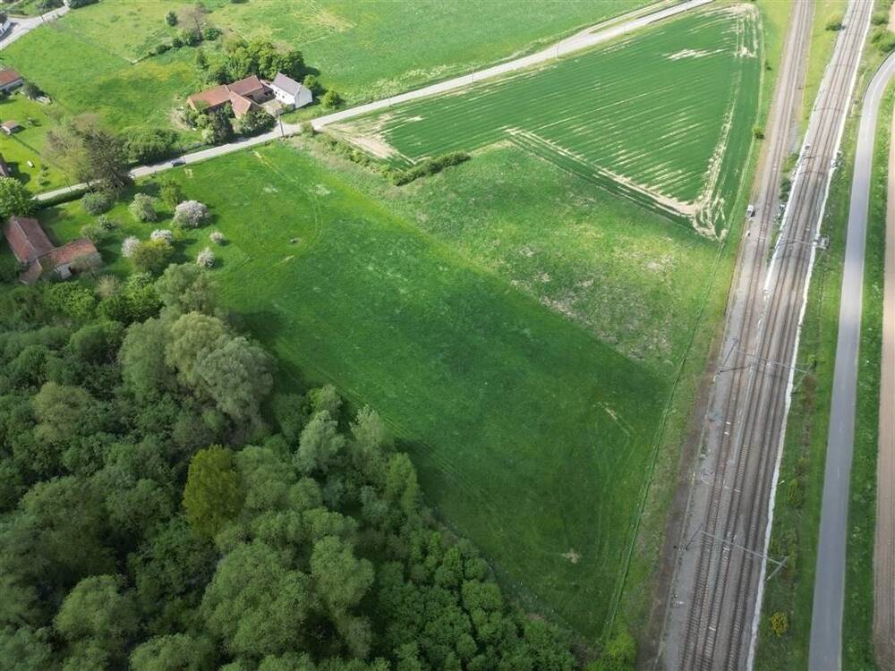 Terrain à vendre à Maubray 7640 20000.00€ chambres m² - annonce 461448