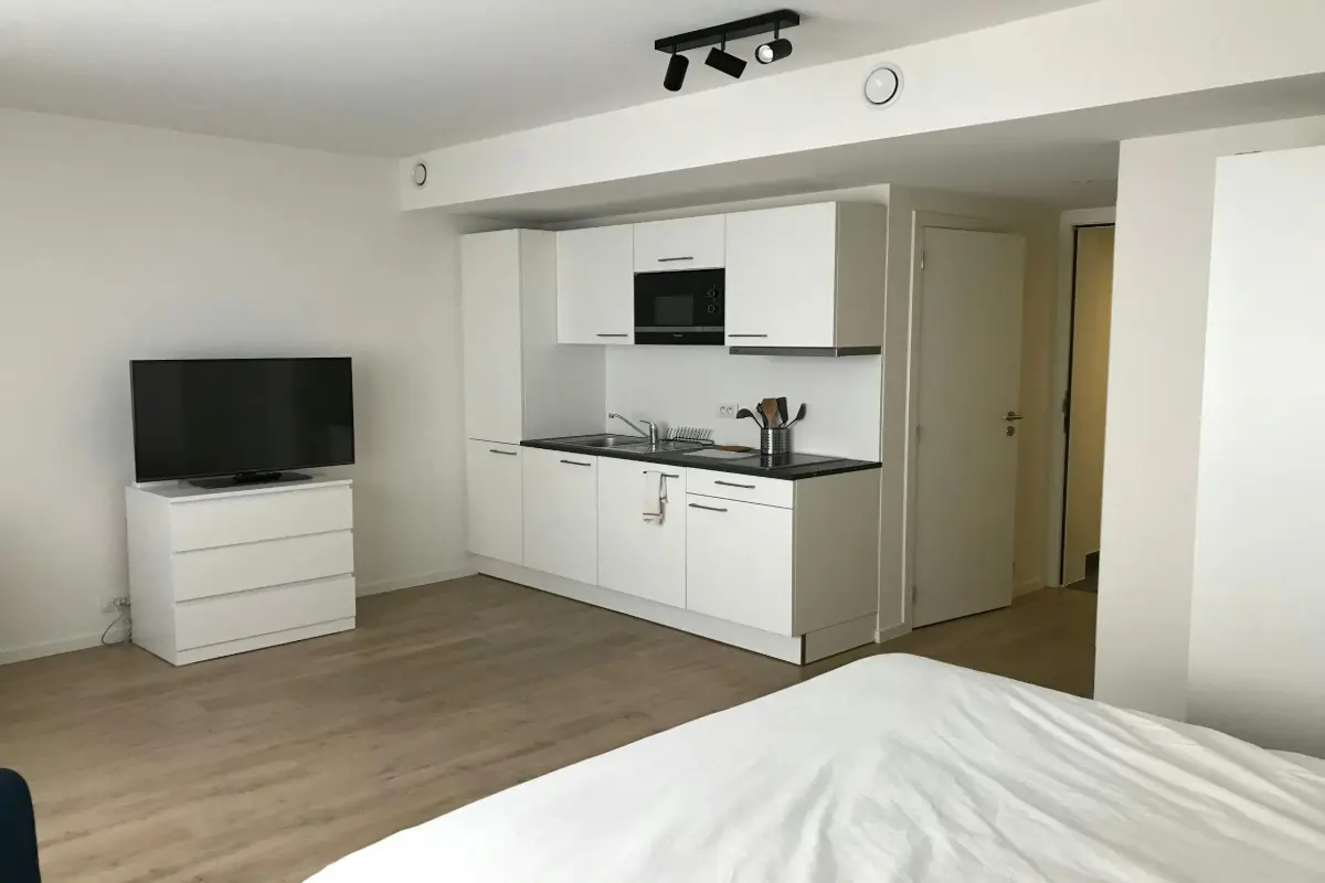 Maison à louer à Bruxelles 1000 1000.00€  chambres m² - annonce 481538