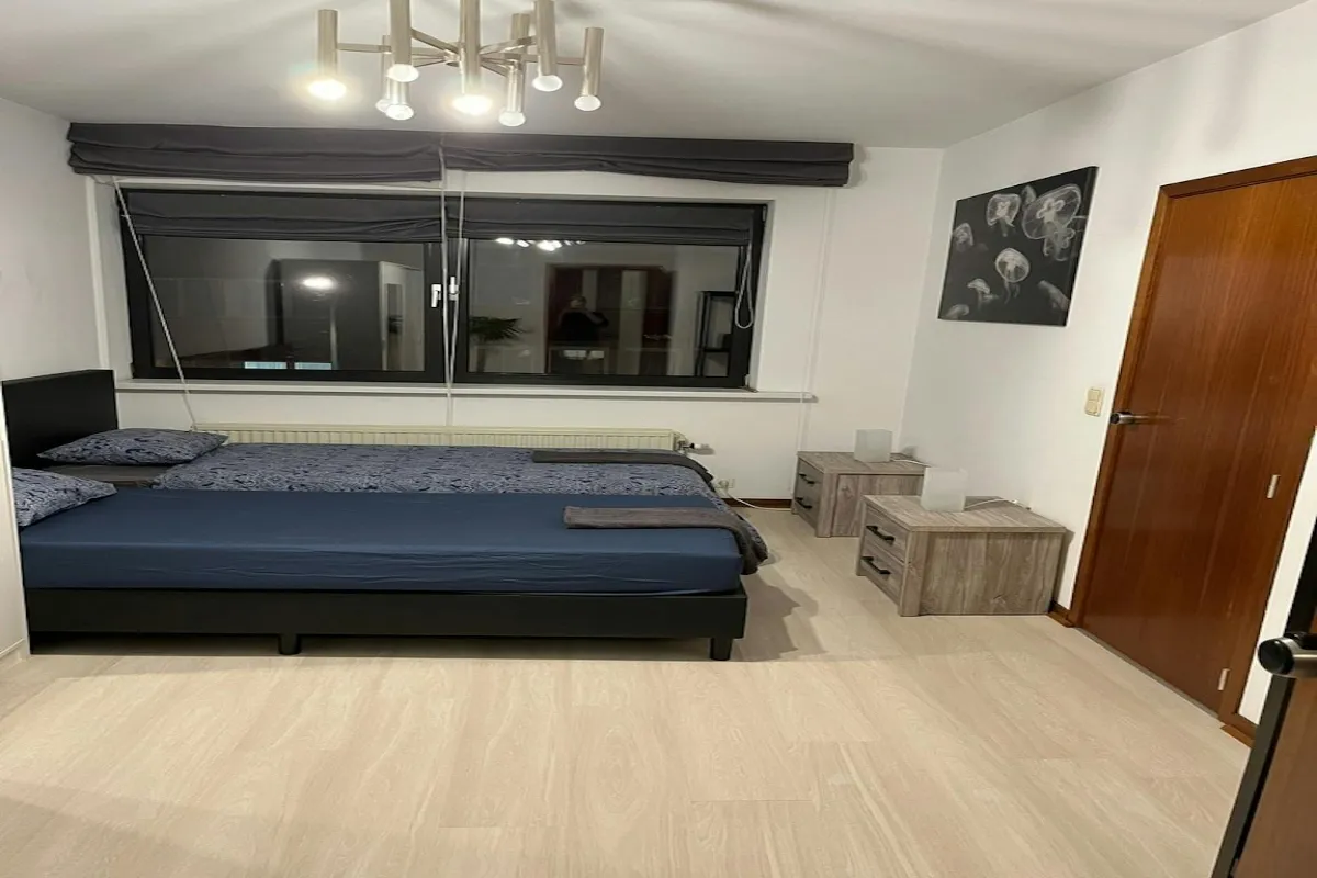 Maison à louer à Forest 1190 4997.00€  chambres m² - annonce 488831