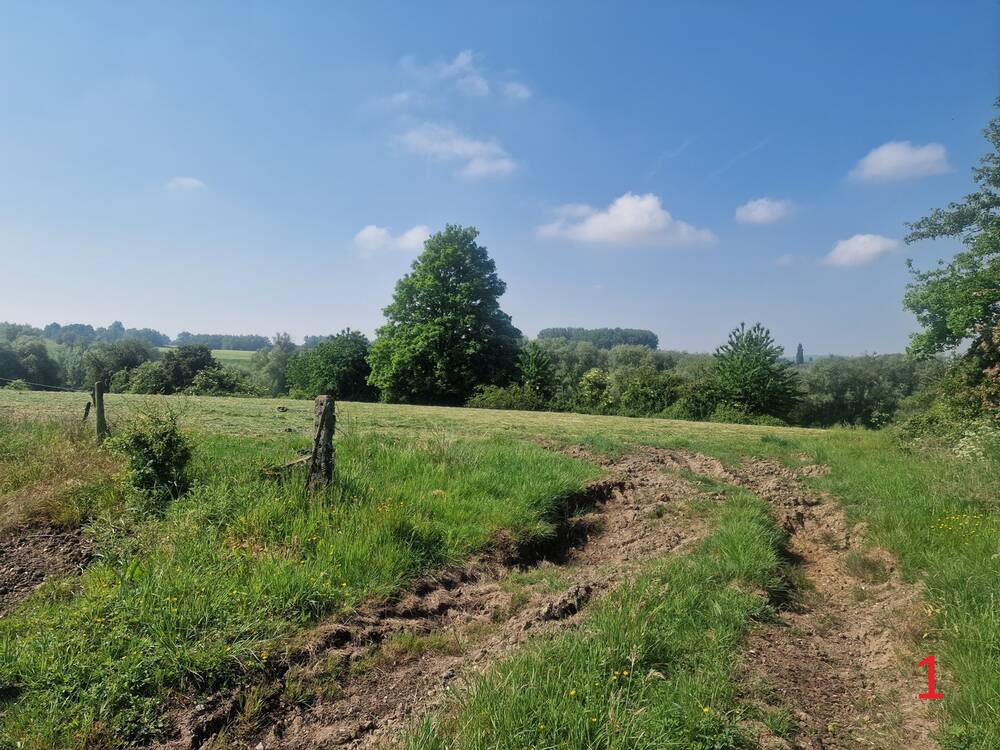 Terrain non bâtissable à vendre à Ogy 7862 59000.00€ chambres m² - annonce 490176