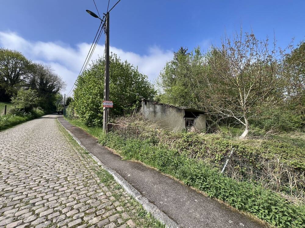 Terrain non bâtissable à vendre à Souvret 6182 30000.00€ chambres m² - annonce 489481