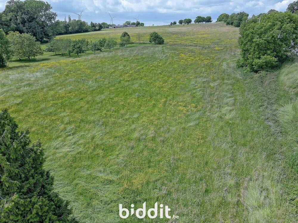 Terrain non bâtissable à vendre à Assesse 5330 130000.00€ chambres m² - annonce 491128