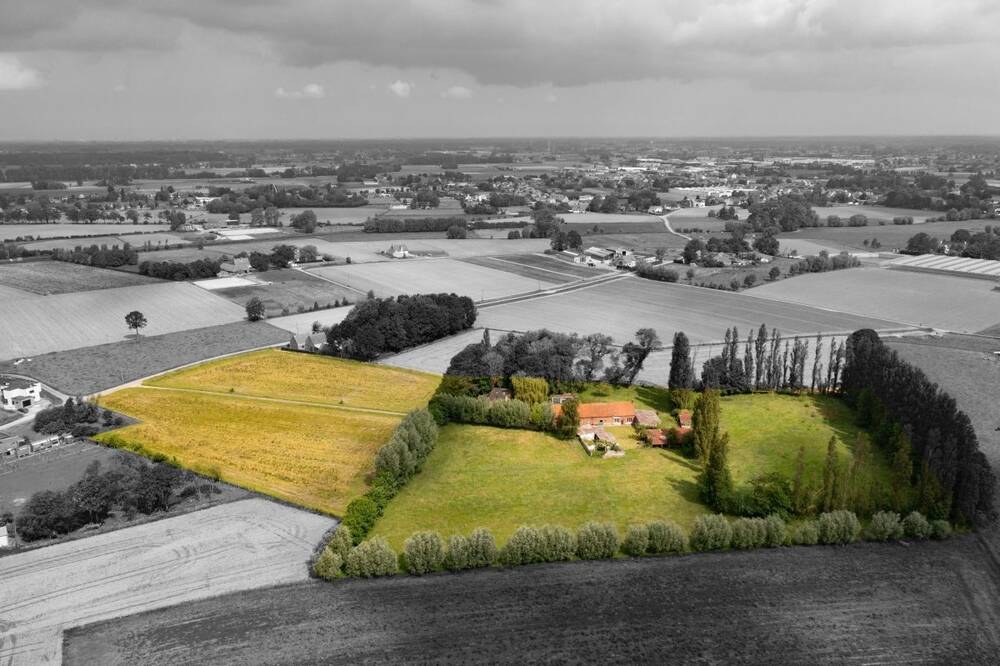 Ferme à vendre à Veldegem 8210 625000.00€ 4 chambres 245.00m² - annonce 492324
