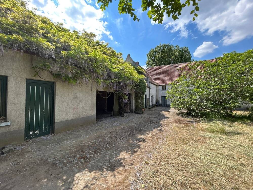 Ferme à vendre à Kampenhout 1910 490000.00€ 3 chambres m² - annonce 499659