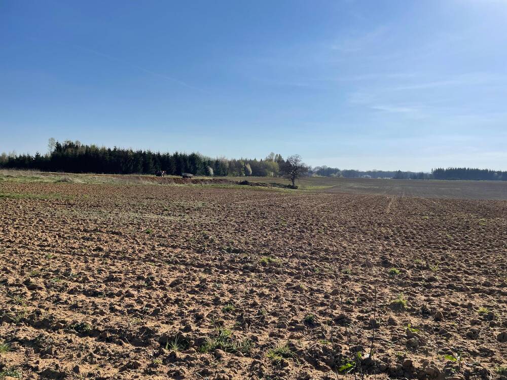 Terrain non bâtissable à vendre à Chassepierre 6824 82000.00€ chambres m² - annonce 498174