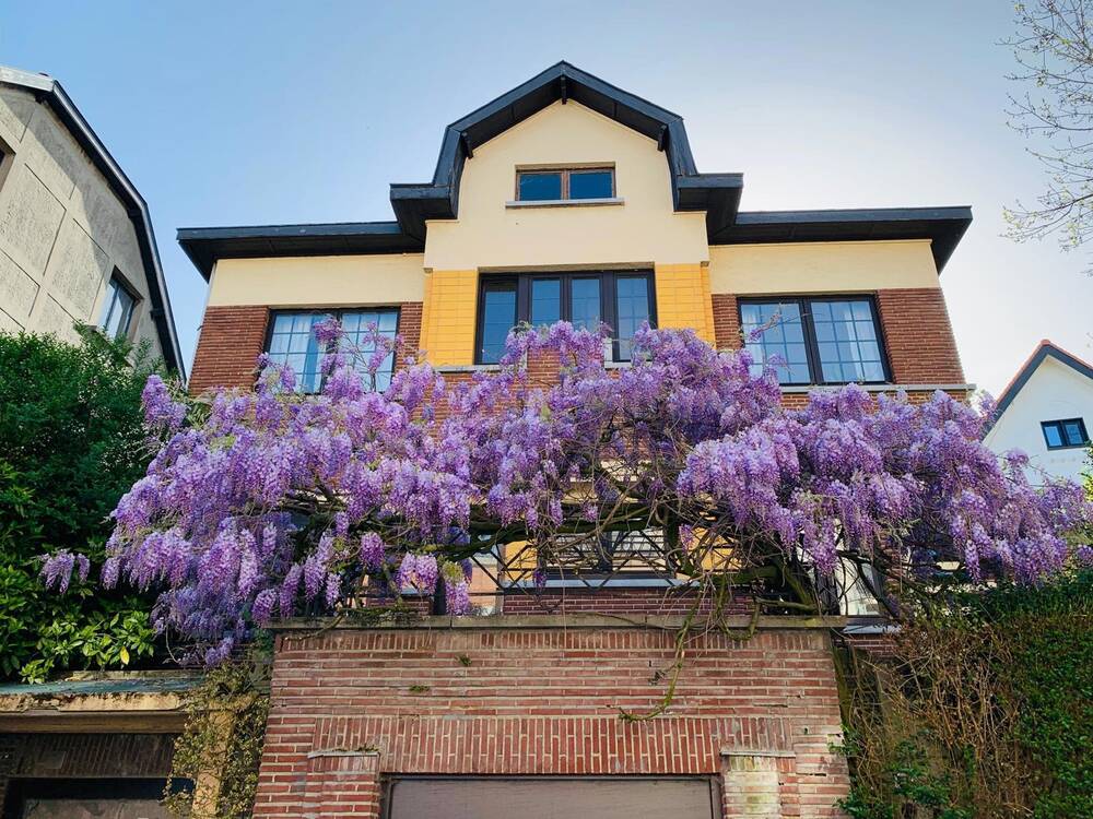 Villa à vendre à Forest 1190 875000.00€ 5 chambres 245.00m² - annonce 498291