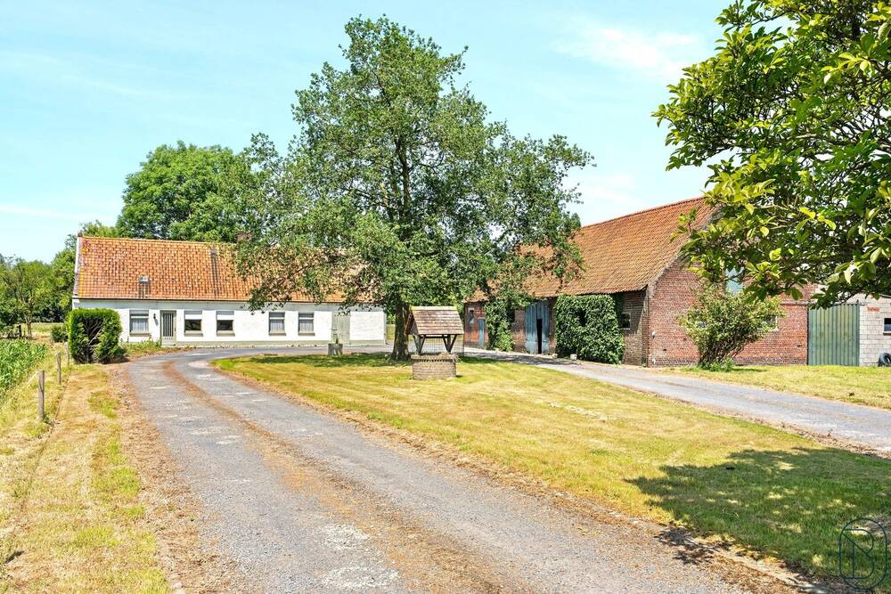 Bungalow à vendre à Sint-Baafs-Vijve 8710 635000.00€ 3 chambres 500.00m² - annonce 494408