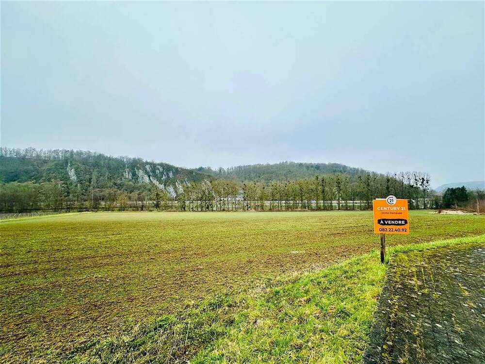 Terrain non bâtissable à vendre à Yvoir 5530 115000.00€ chambres m² - annonce 509633
