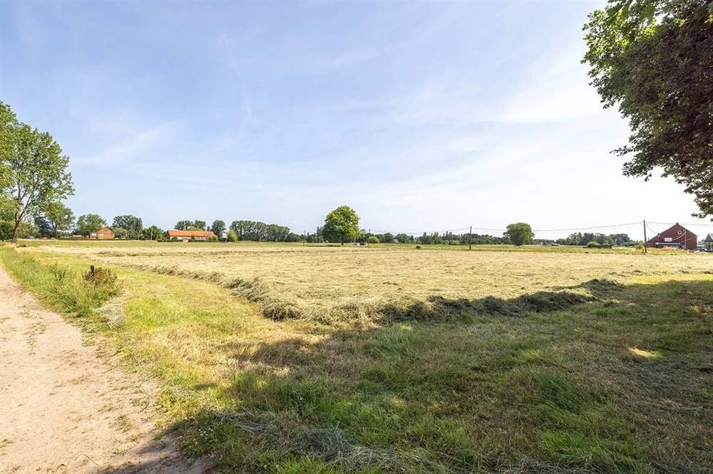 Terrain non bâtissable à vendre à Heist-op-den-Berg 2220 79000.00€ chambres m² - annonce 510675