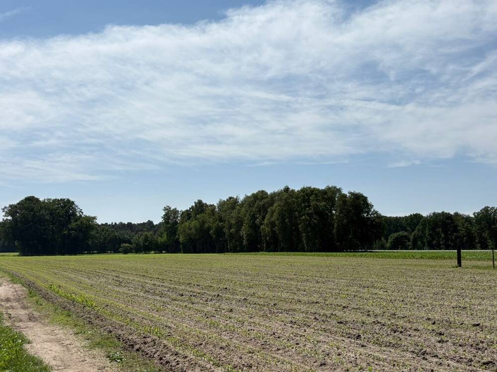 Terrain non bâtissable à vendre à Geel 2440 32000.00€ chambres m² - annonce 511106
