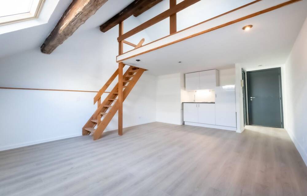 Appartement à vendre à Bruxelles 1000 195000.00€ 1 chambres 50.00m² - annonce 517307