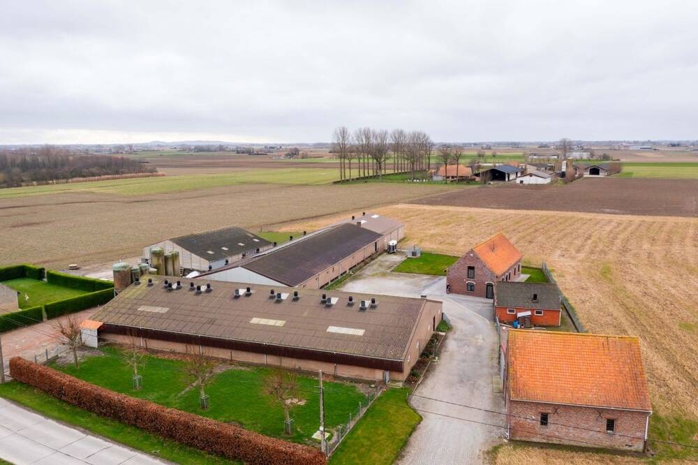 Ferme à vendre à Leisele 8691 0.00€ chambres m² - annonce 522255