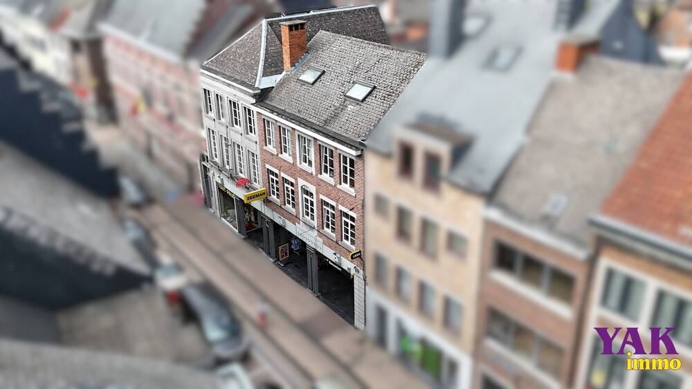 Handelszaak te koop in Edingen 7850 1800000.00€ slaapkamers 1710.00m² - Zoekertje 523874