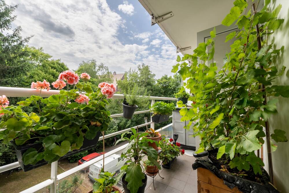 Appartement à à Uccle 1180 285000.00€ 2 chambres 67.00m² - annonce 523926