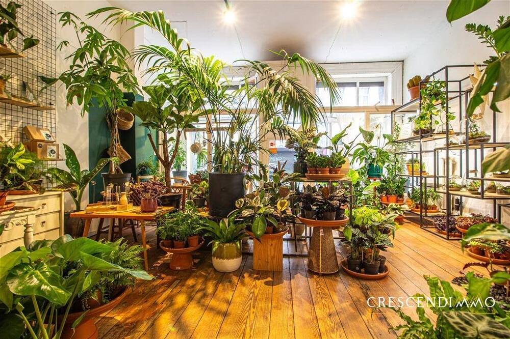 Commerce à louer à Ixelles 1050 1650.00€ chambres 140.00m² - annonce 527161