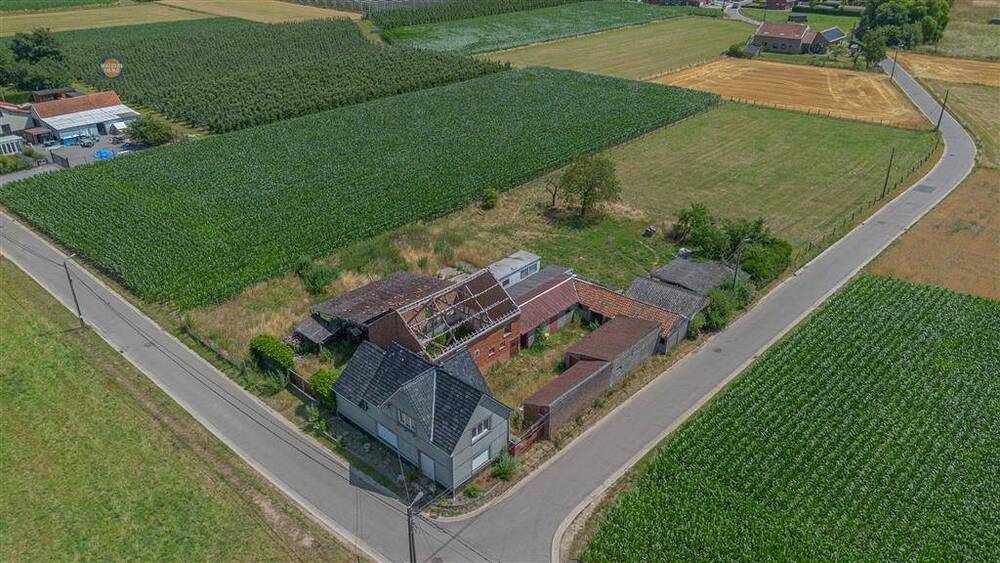 Ferme à vendre à Budingen 3440 294000.00€ 3 chambres m² - annonce 527096