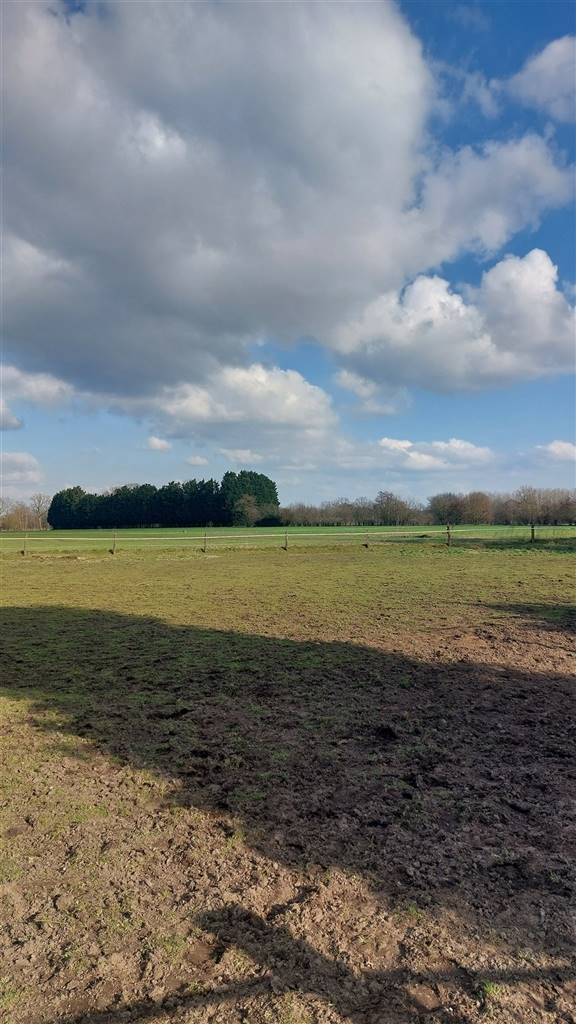 Grond te koop in Vlimmeren 2340 239000.00€ slaapkamers m² - Zoekertje 525495