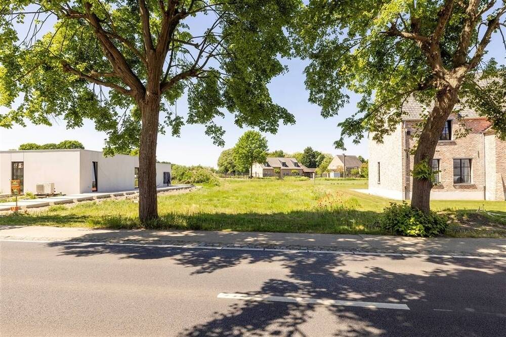 Grond te koop in Westerlo 2260 250000.00€ slaapkamers m² - Zoekertje 525661