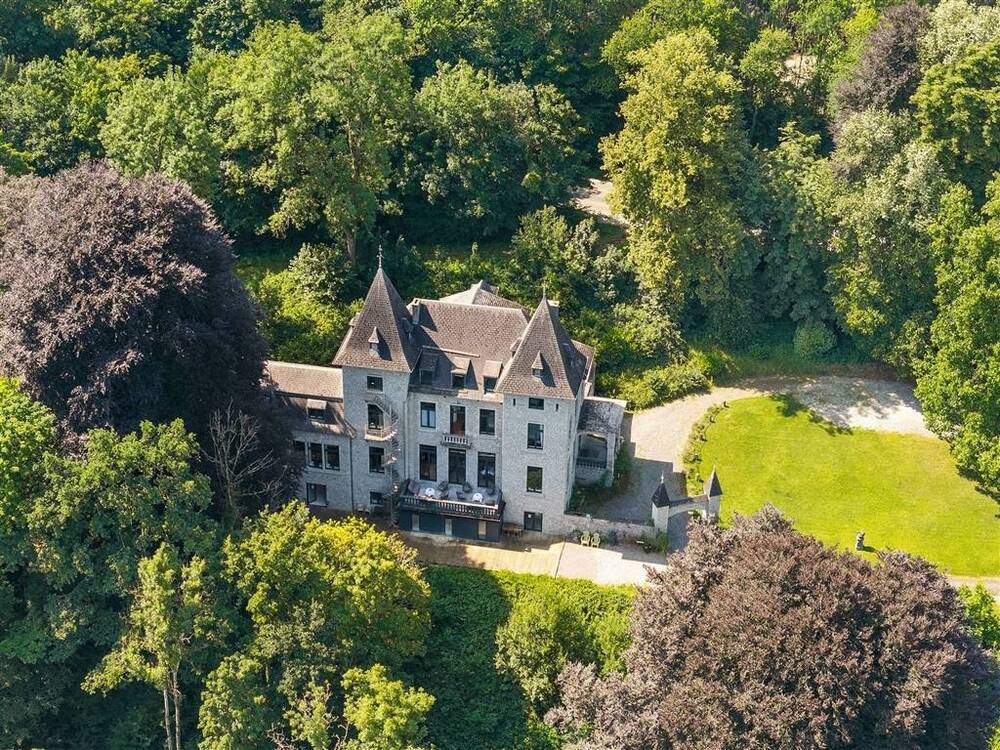 Kasteel te koop in Dinant 5500 1650000.00€ 12 slaapkamers 868.00m² - Zoekertje 529693