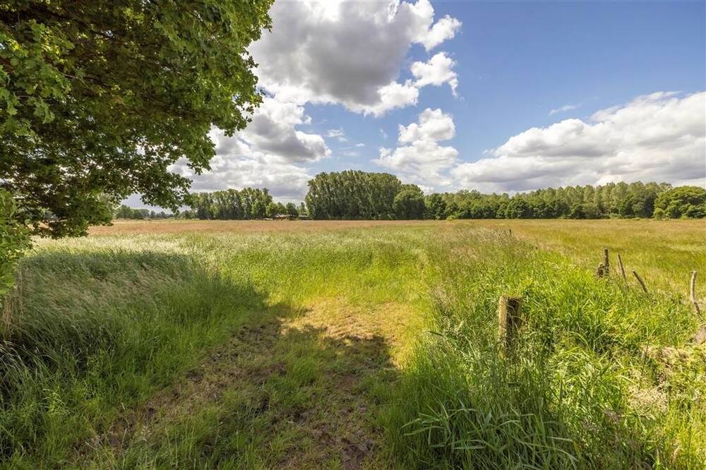Terrain non bâtissable à vendre à Heist-op-den-Berg 2220 175000.00€  chambres m² - annonce 541706