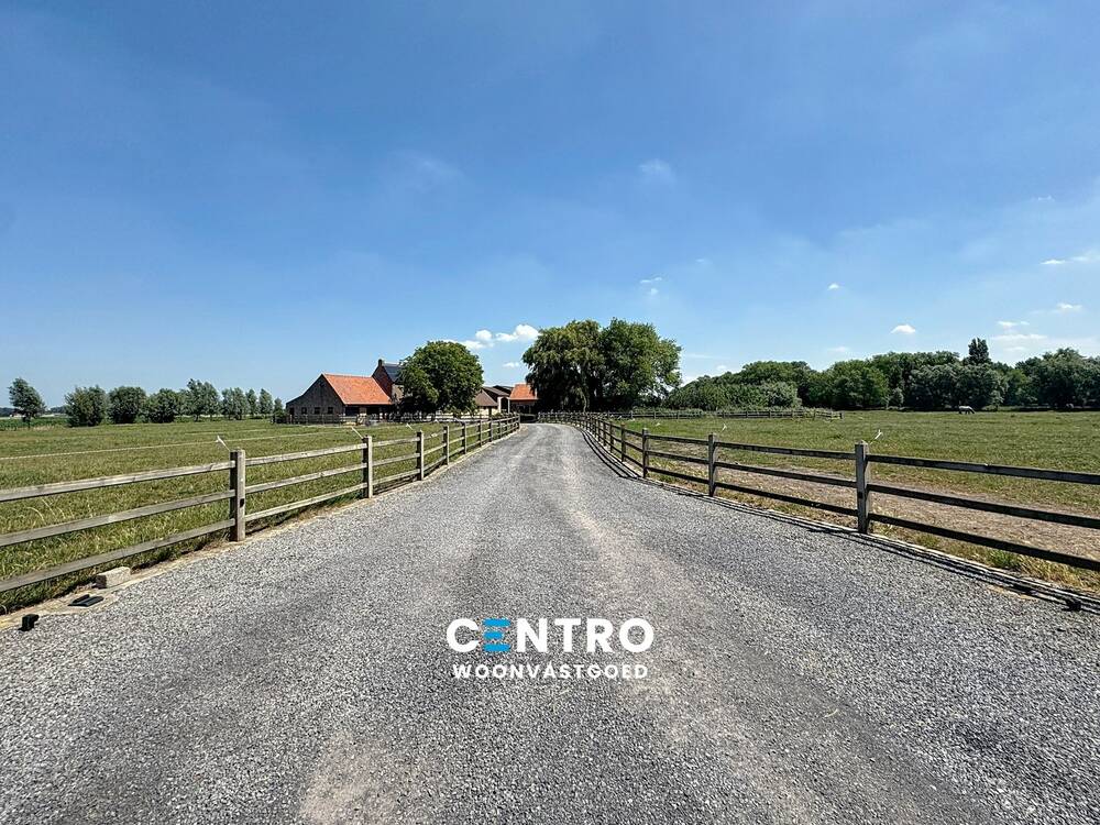 Bungalow à louer à Zuienkerke 8377 0.00€ 4 chambres 302.00m² - annonce 543858