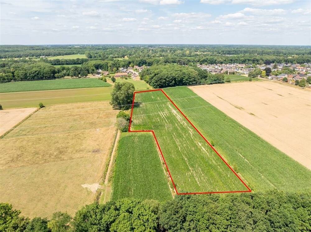 Terrain non bâtissable à vendre à Dilsen-Stokkem 3650 70000.00€  chambres m² - annonce 547358