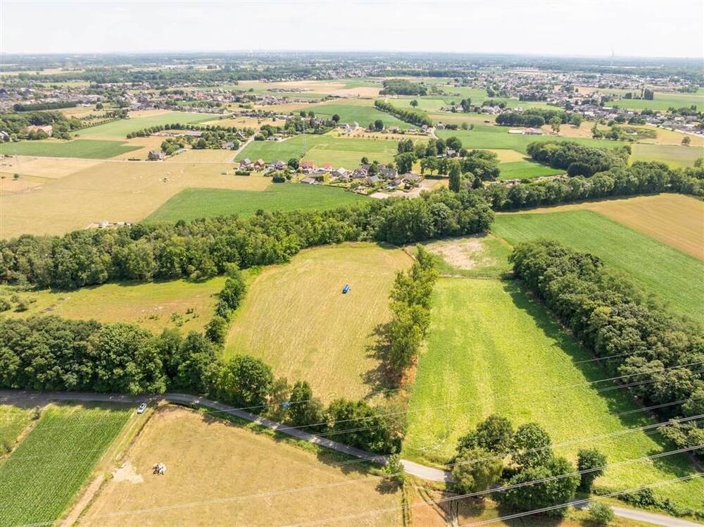 Terrain non bâtissable à vendre à Dilsen-Stokkem 3650 77000.00€  chambres m² - annonce 546715