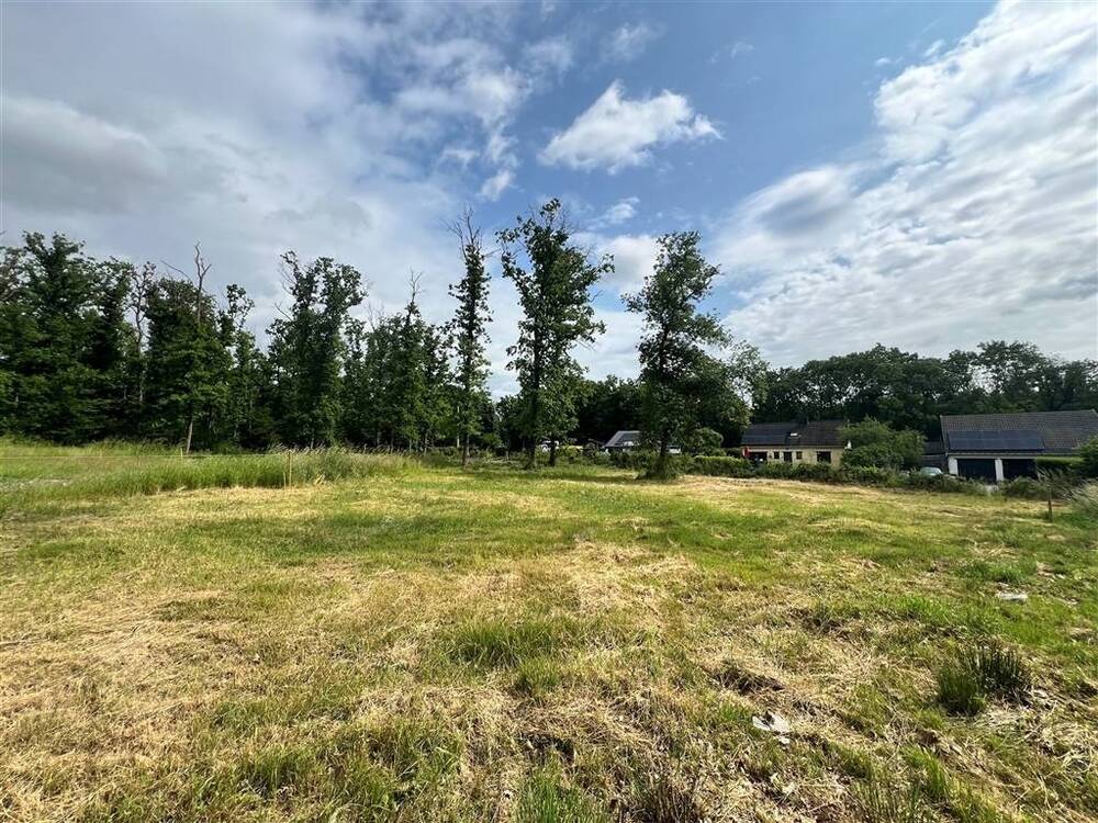 Terrain à bâtir à vendre à Aye 6900 99000.00€ chambres m² - annonce 548611
