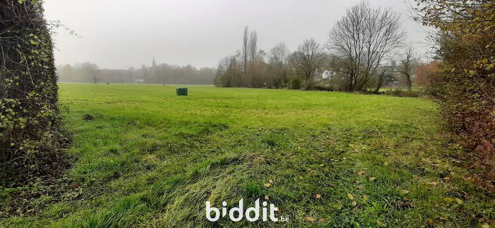 Terrain non bâtissable à vendre à Saint-Remy 4672 10000.00€  chambres m² - annonce 550056