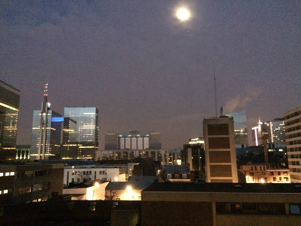 Studio à louer à Bruxelles 1000 830.00€ 0 chambres 36.00m² - annonce 555909
