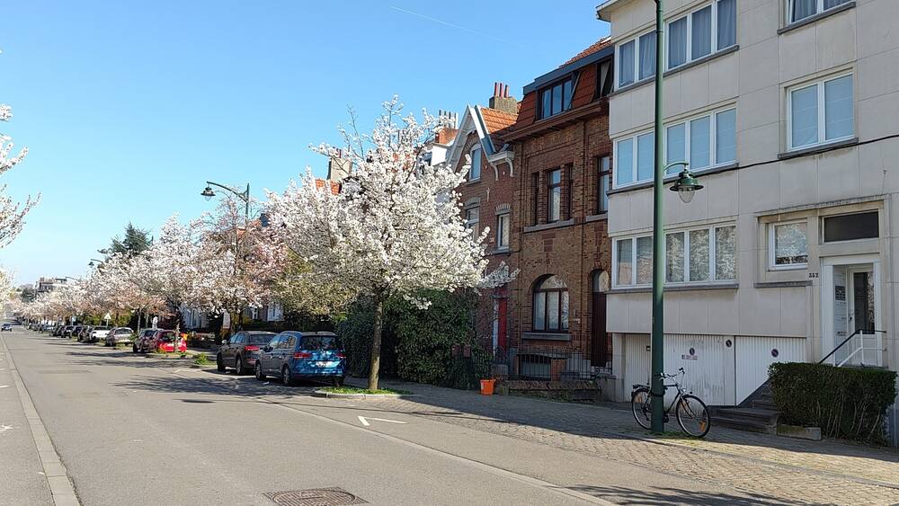 Maison à vendre à Forest 1190 624000.00€ 3 chambres 180.00m² - annonce 556657
