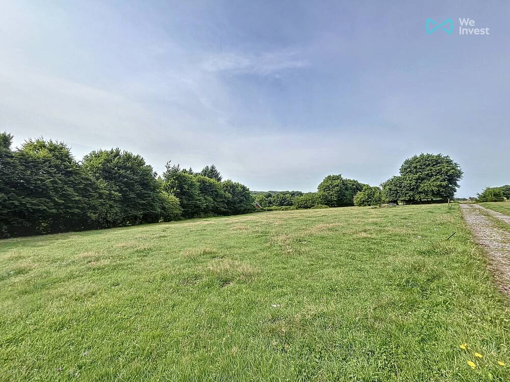 Terrain non bâtissable à vendre à Chimay 6460 95000.00€  chambres m² - annonce 560306